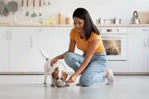 Smart Choices for Feeding Pets: Tips for Pet Owners