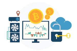 Turning Ownership Into Opportunity: Where Assets Learn to Move
