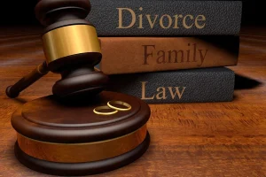 How Family Lawyers Guide Through Divorce Cases