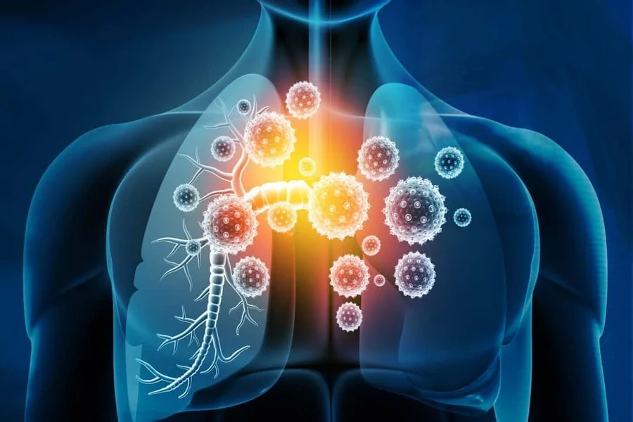 Immune System