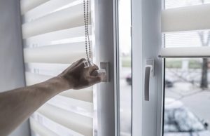 Lift Your Interior with Fashionable Roller Shades for Windows