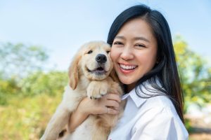 How Much Is a Golden Retriever Puppy?