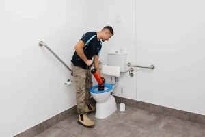 How To Find A Reliable Sydney Plumber For Clogged Toilets