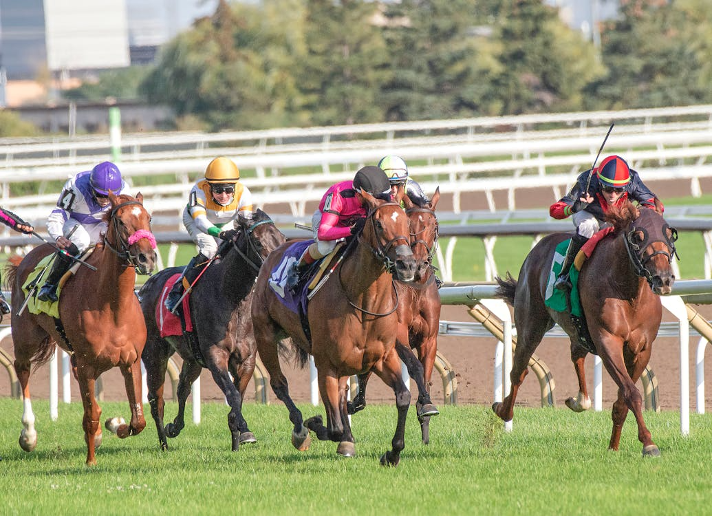Race Spotlight