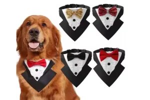 Turn Your Love For Dogs Into Dollars With Bulk Dog Bandana Sales