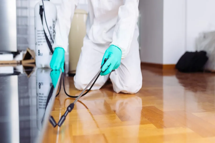 Termite Control