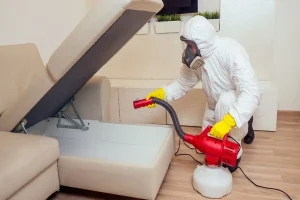 Seasonal Pest Prevention Tips Every Homeowner Should Know