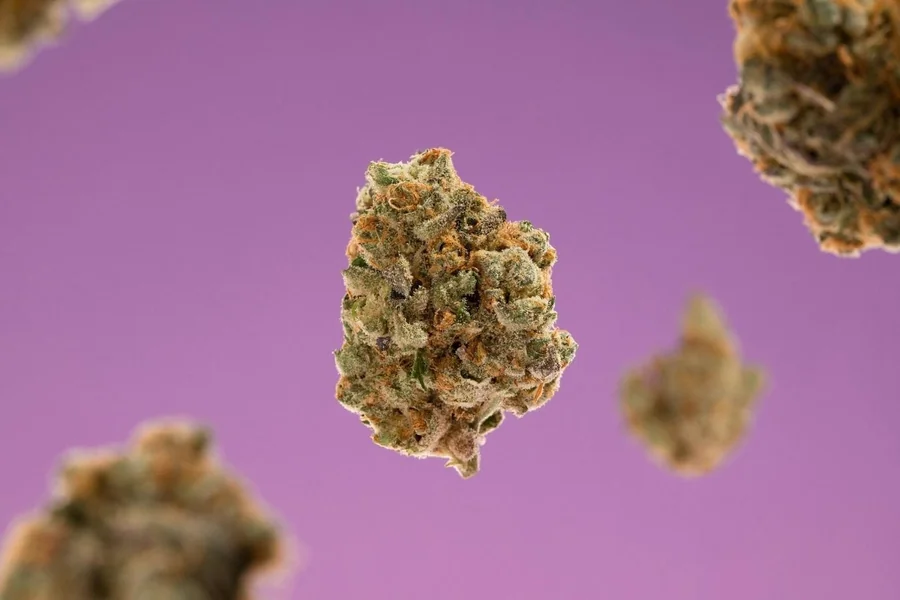 Granddaddy 