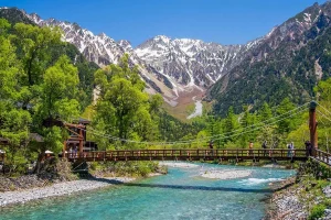 Exploring Japan Through Food and Culture: A Journey Beyond the Ordinary