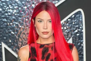 Halsey Lifestyle: A Peek into her Differentiated Story and Decisions