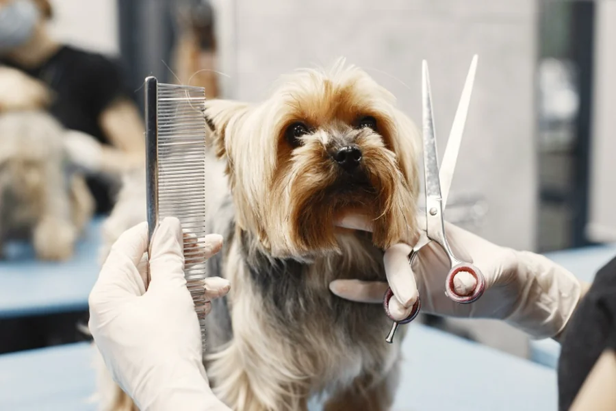 Grooming