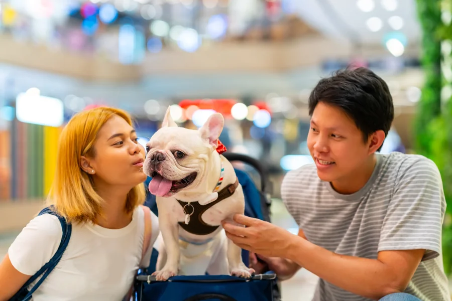 Dog-Friendly