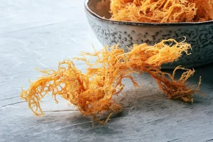 Why Sea Moss Is Becoming a Staple in Wellness Routines