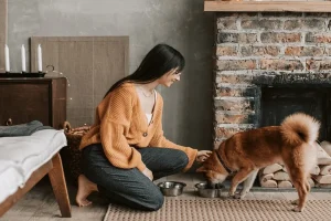 The Importance of Registered Breeders