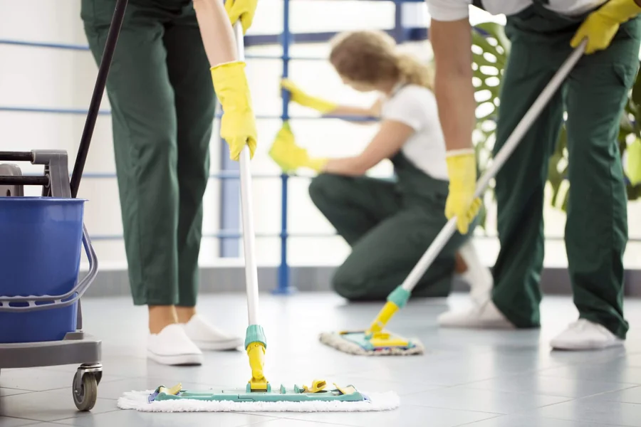 Cleaning Franchise
