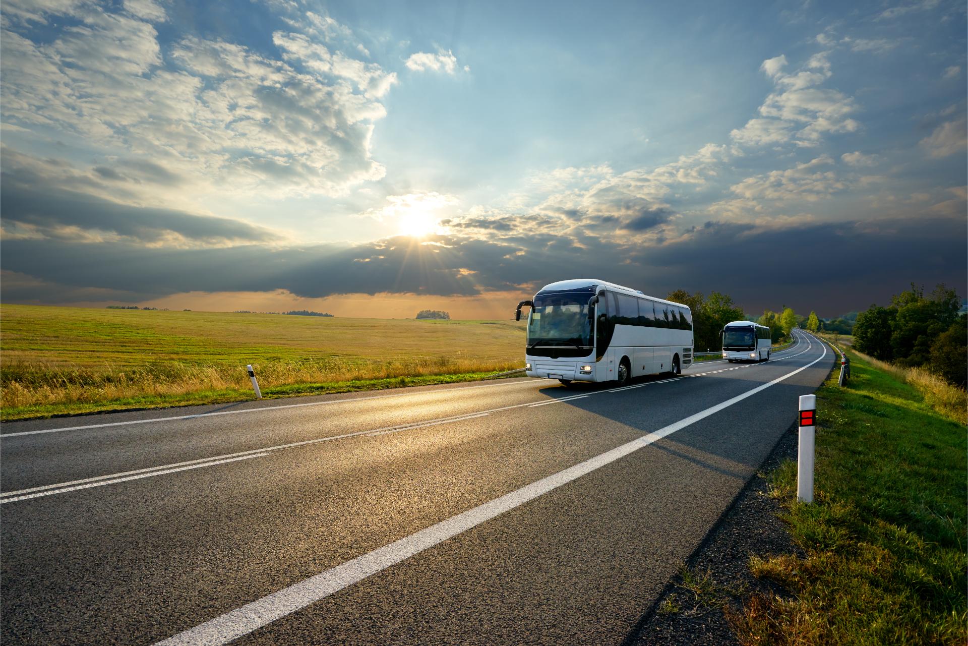 Bus Crashes