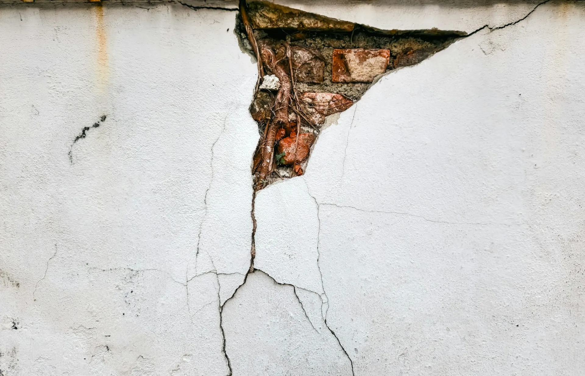 Structural Rot