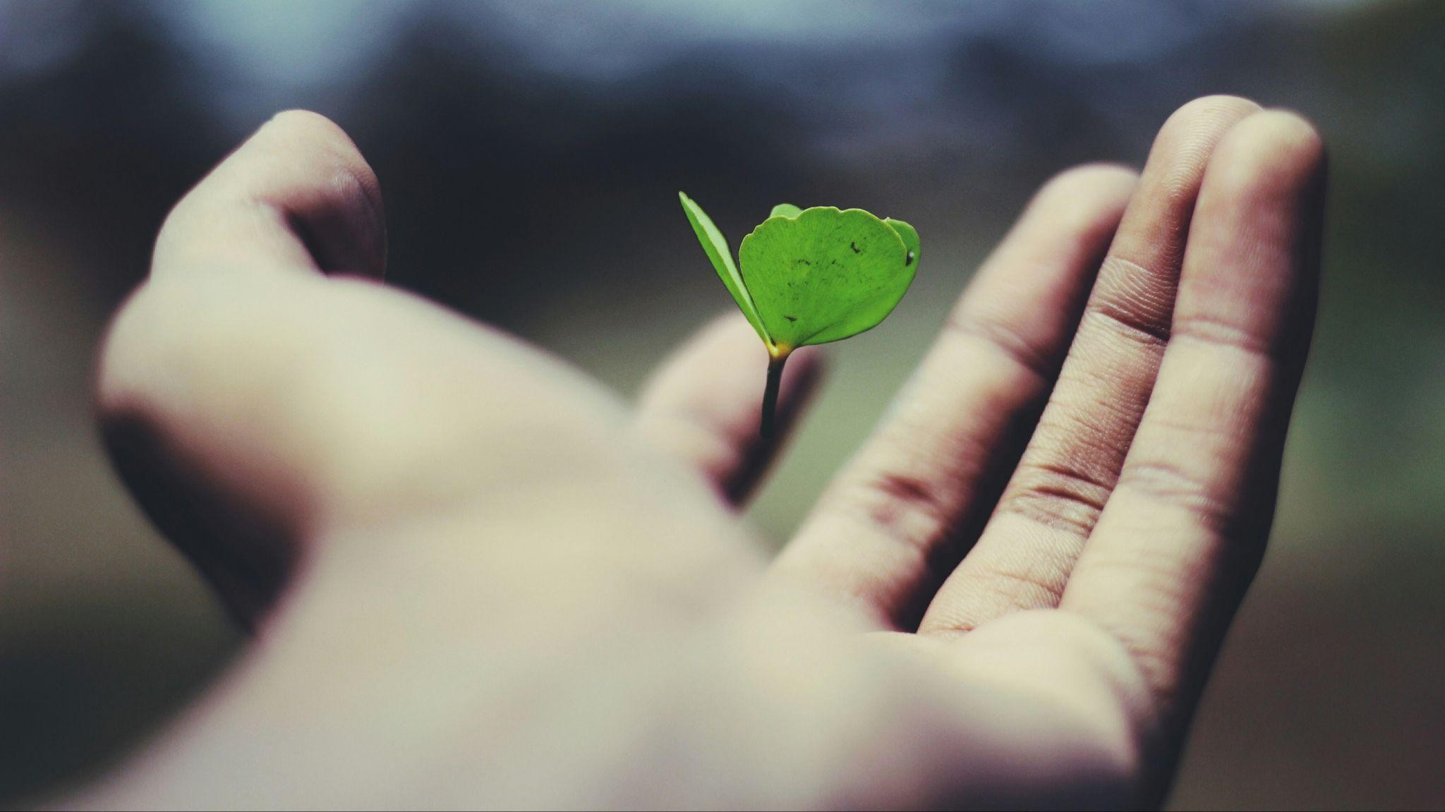 Sustainability
