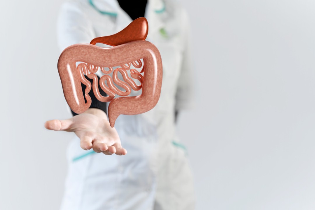 Gut Health