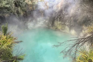 Where Wellness in New Zealand Operates as Infrastructure, Not an Activity
