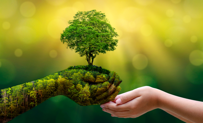 sustainability