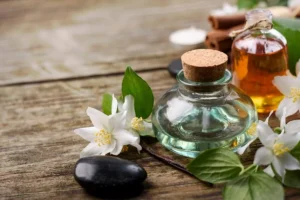 How May Plant-Derived Support Help Ease Everyday Tension