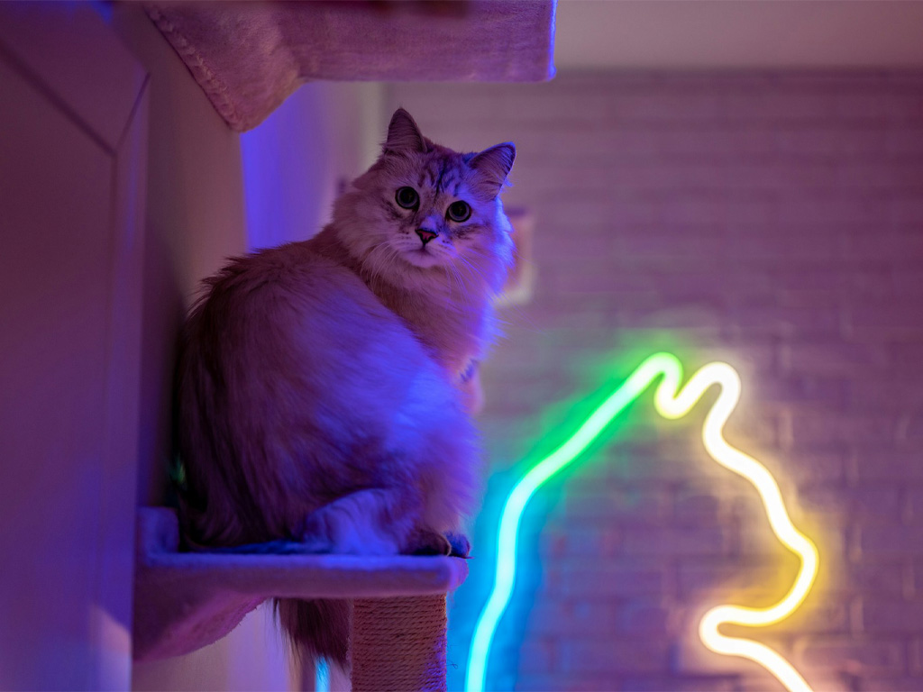 neon sign